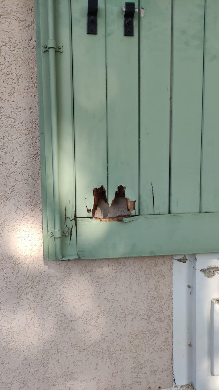 Volet battant en bois d'une maison à Nogent-sur-Marne avant réparation : bois dégradé et éclaté en partie basse